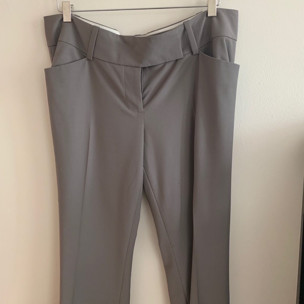 Ann Taylor Dress Pants-New